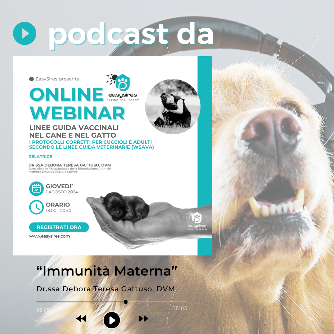 L'immunità materna: cos'è e come funziona